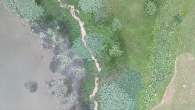 Плещеево озеро. Ярославская область. смотреть онлайн