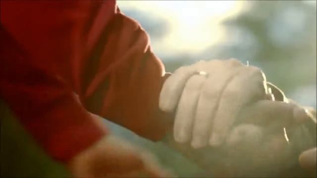 реклама пенсійного фонду смотреть онлайн