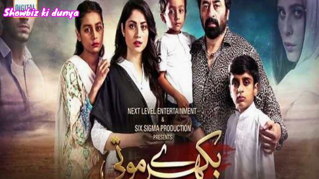 Wahaj Ali Dramas | #wahajalidramas | showbiz ki dunya смотреть онлайн