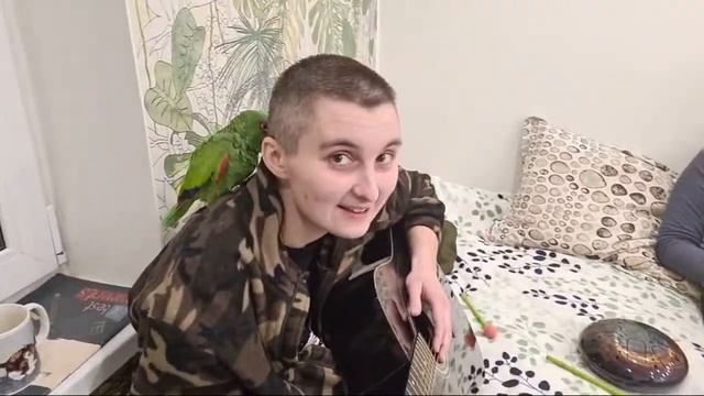 СТРИМ: часть III, заключительная. Мышеспасы и ветврачи, гитара и гармошка. смотреть онлайн