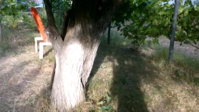 ПОКРАСИЛИ САДОВУЮ МЕБЕЛЬ / Кресло ОРАНЖ / Лежак КРЕМ БРЮЛЕ / МЕБЕЛЬ В САДУ СВОИМИ РУКАМИ / НАША ДАЧ смотреть онлайн