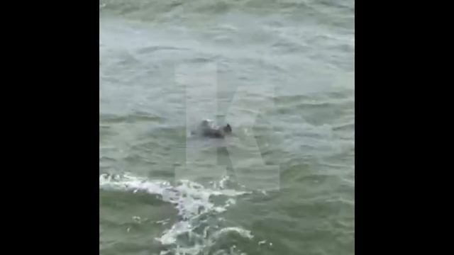 В Зеленоградске с пирса смыло мужчину смотреть онлайн