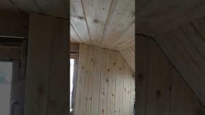 дешовая баня быстро своими руками, Баня из кунга , сосна в парилке