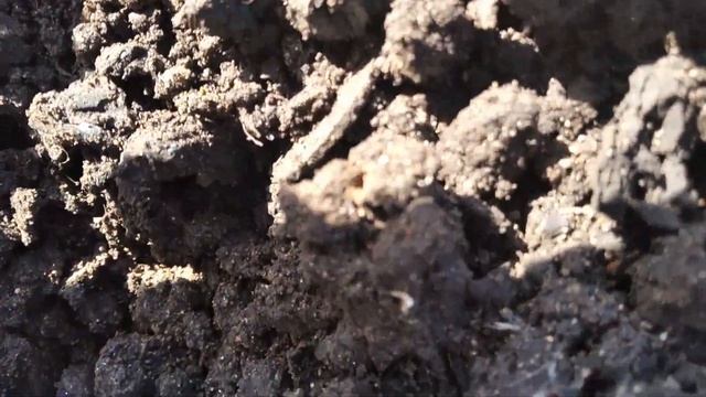 Коп с xp orx смотреть онлайн