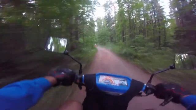 Yamaha BWS vs Honda Zoomer, лесная схватка смотреть онлайн
