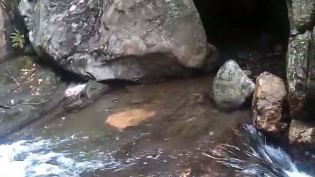 Пещерные люди смотреть онлайн