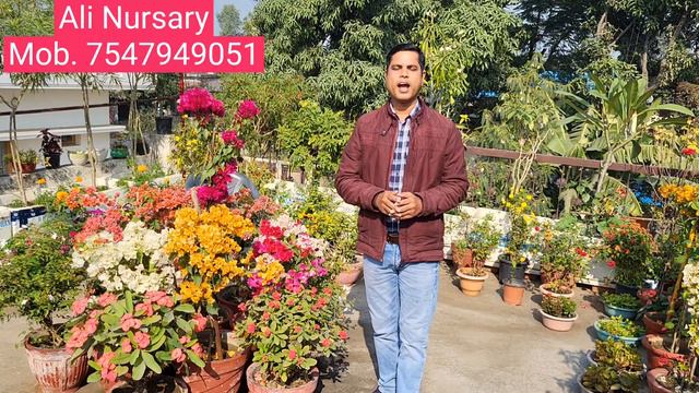 Flowers Fruits and Ornamental Plants Online Nursery Home Delivery Nursery #alinursery смотреть онлайн