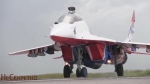 «Стрижи»  прилетели