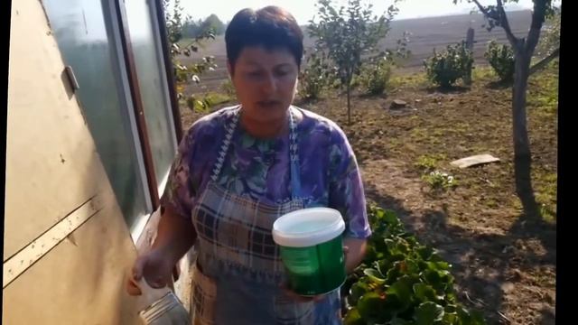 Красим экономно смотреть онлайн