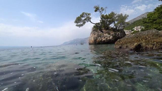 ХОРВАТИЯ. В ШОКЕ ОТ КРАСОТЫ МОРЯ. ПЛЯЖ ПУНТА РАТА. БРЕЛА. ОТДЫХ В ХОРВАТИИ. смотреть онлайн