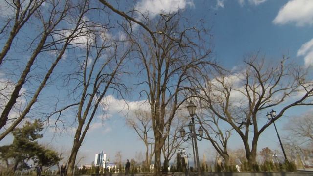 Xiaomi Mijia 4k Primorsky Bulevard