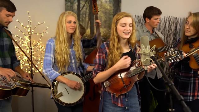 No Roots - The Petersens (LIVE)