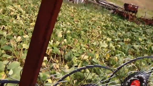հեռ .(098) 94-34-17 Grabilka, Xothavaq грабилка грабли Arev Klor 4 Oxak 4 օղակ