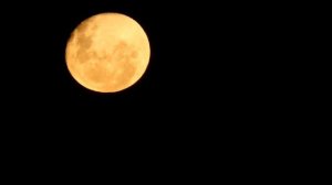 А.Серов- Лунная серенада