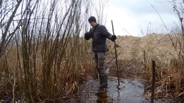 Часть 1. Шли по болоту. Орнитологический заказник Дымовщина смотреть онлайн