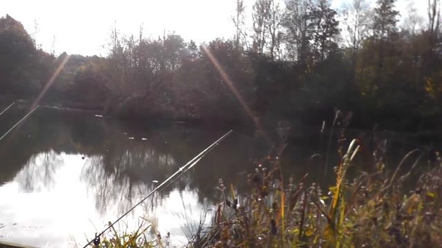 Three Blanks For Steve