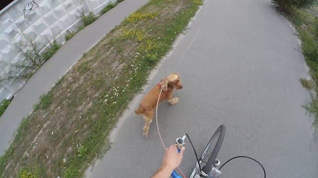 Сёма на велопрогулке смотреть онлайн