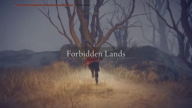 Elden Ring Guide - Blade of Calling смотреть онлайн