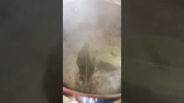 Суп лавровый )))