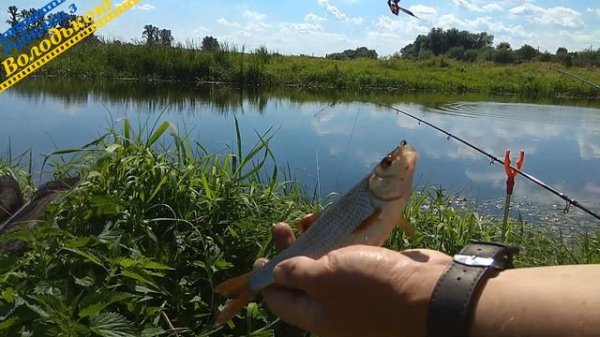 Пікер Flagman Cast Master Picker 2.7 м 40 г. Флагман Каст Мастер Пікер! Бюджетний пікер для рибалки