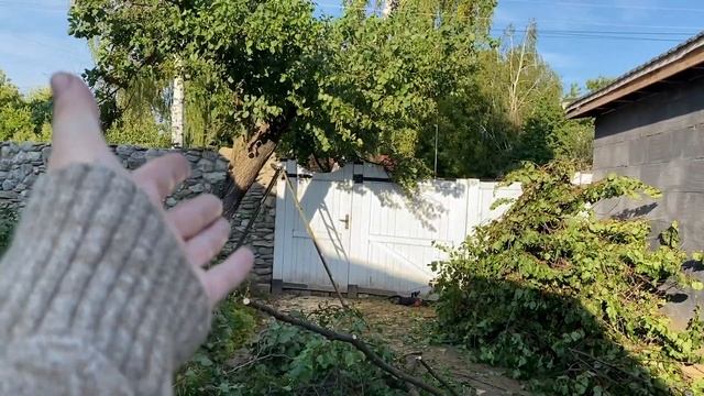 Обрезала деревья, делала ремонт в спальне, красила старый пол. Сентябрь 2022 смотреть онлайн