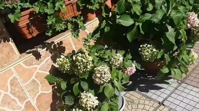 Мой новый номер в отеле. Много свободных комнат и аппартаментов. смотреть онлайн