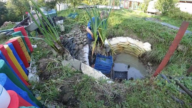 6ч. Бюджетный, без пленки пруд своими руками. Расширение пруда, растения Следующий этап - зарыблени