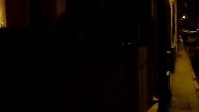 lucha a muerte 2 gato contra perro смотреть онлайн
