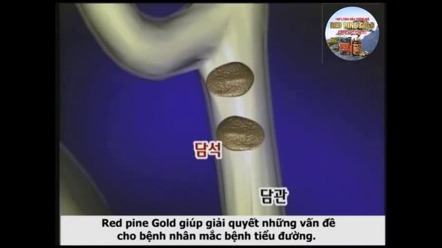 RED PINE GOLD смотреть онлайн