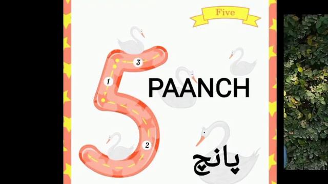 Urdu and English Counting 1-10 смотреть онлайн