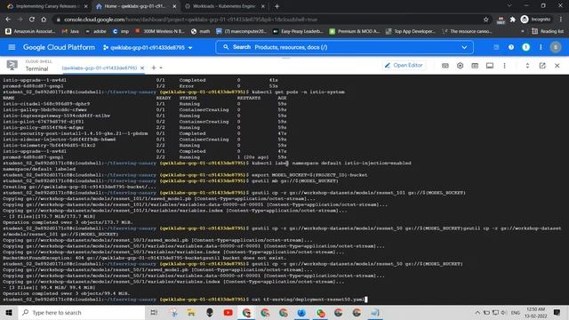 Implementing Canary Releases of TensorFlow Model Deployments with Kubernetes and Istio | GSP778 | смотреть онлайн