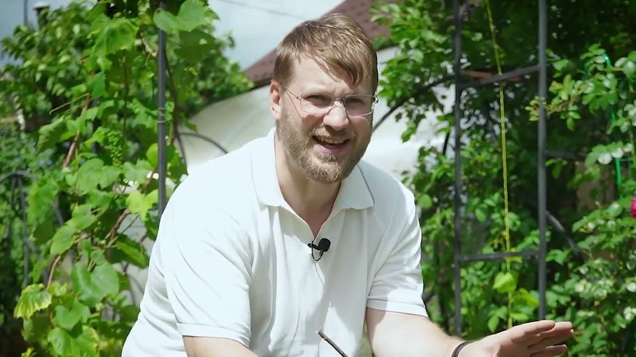 Грибные поражения древесины | Сад и огород смотреть онлайн