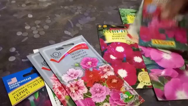 🌺🌼Сеем в январе.Самое красивое!!! 1 часть.