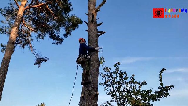 Спасаем Дрон // Что -то пошло не так // Alpo.by спасение..... смотреть онлайн