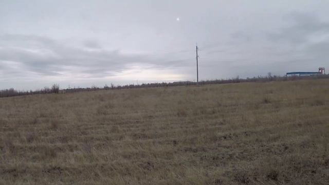 Охота на зайца с Дратхааром. Заяц подпускают в упор. Удачная охота на зайца с собакой. смотреть онлайн
