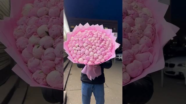 71 пионы заказ можно смотреть онлайн