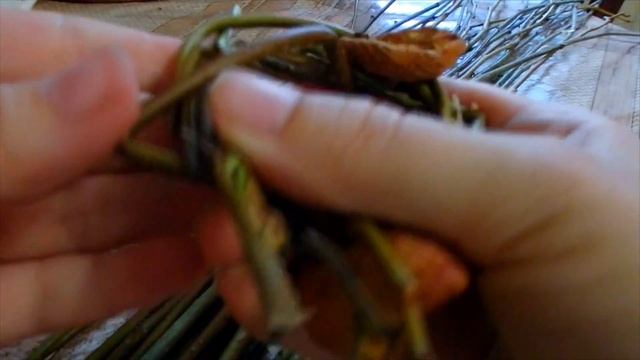 Колечки-погрызушки с лакомством для попугая своими руками. Игрушки для попугая. смотреть онлайн