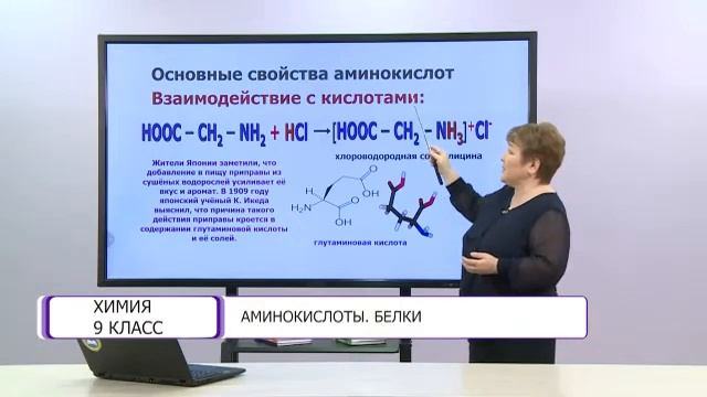Химия. 9 класс. Аминокислоты. Белки /21.05.2021/ смотреть онлайн