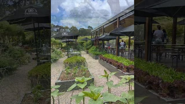 Victoria/ Путешествуем по штату Виктория смотреть онлайн