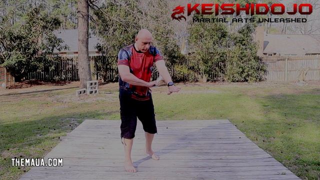Day 27 - Filipino Martial Arts Challenge - Defend and Counterattack смотреть онлайн