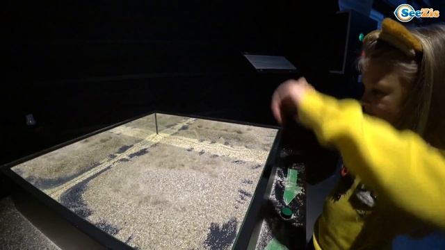 ВЛОГ Идем в Музей Науки с Ярославой! Развлечение для детей Батуты Pin Screen Giant! смотреть онлайн