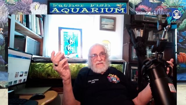 The Simple Secret to Keep Your Aquarium Clean! смотреть онлайн