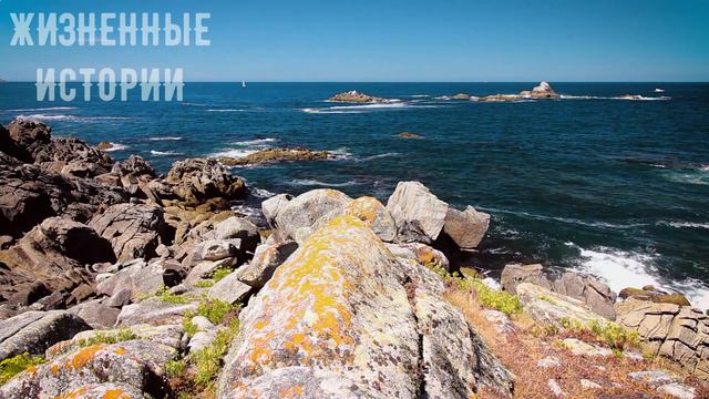 Темное прошлое моей жены смотреть онлайн