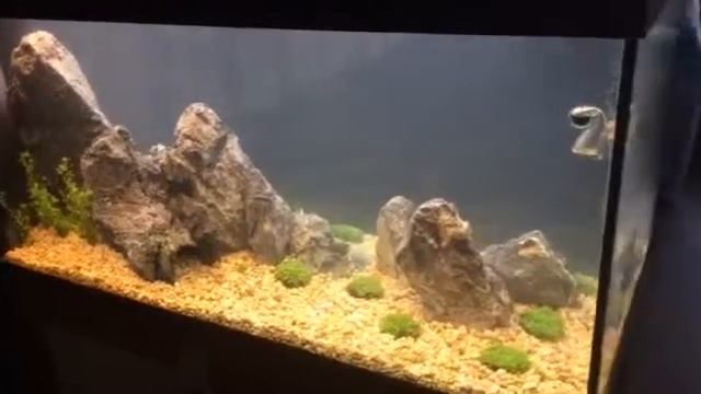 Аквариумы Люкс Нижнекамск телефон 8 917 884 09 59(18) смотреть онлайн