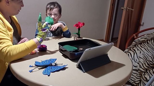 27 ноября 2023 г.