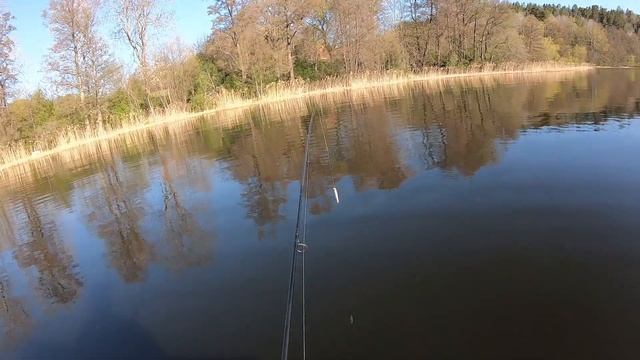 Який колір кращий для ловлі щуки? / What color is best for catching pike? смотреть онлайн