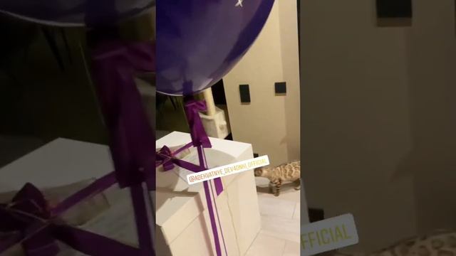 Прилучный волшебник: как Муцениеце и Карпович отметили день рождения смотреть онлайн