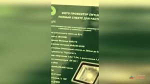 Установка ФитоПрожектора полного спектра 50 Вт в теплицу
