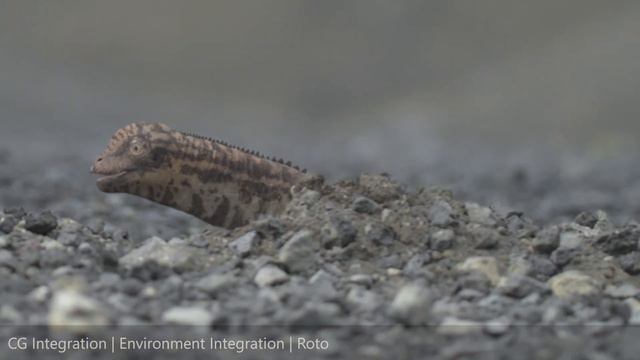 Prehistoric Planet Season 2 Reel смотреть онлайн