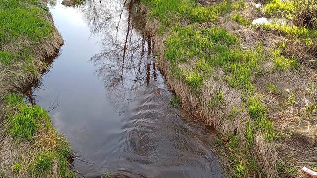 Сергей Карпов